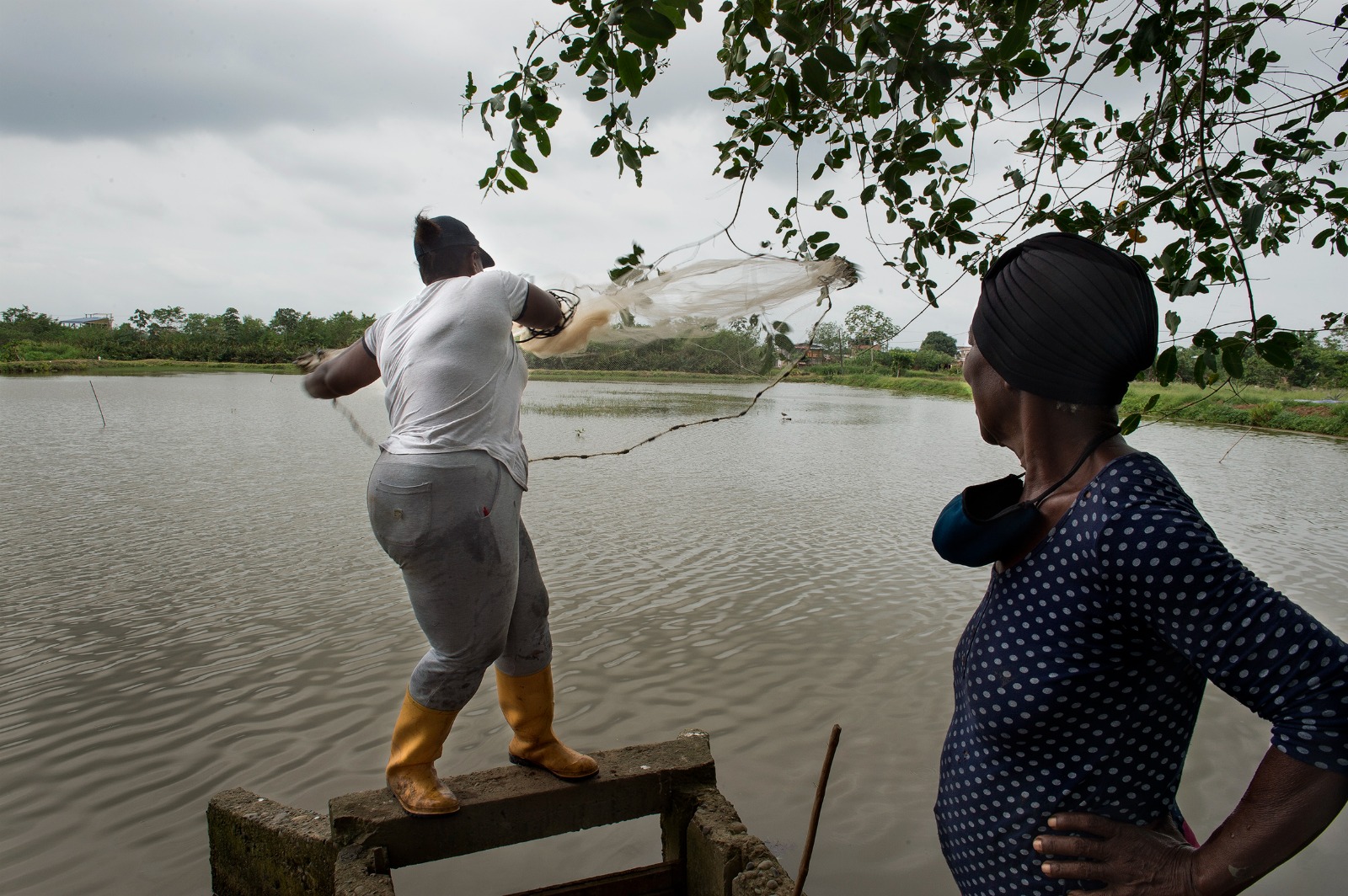 Foto de archivo: Proyecto de la AECID en Colombia. Finca productora de camarón de Doña Sefora Caravalí. Proyecto de construcción de la paz en zonas de conflicto. © Miguel Lizana / AECID
