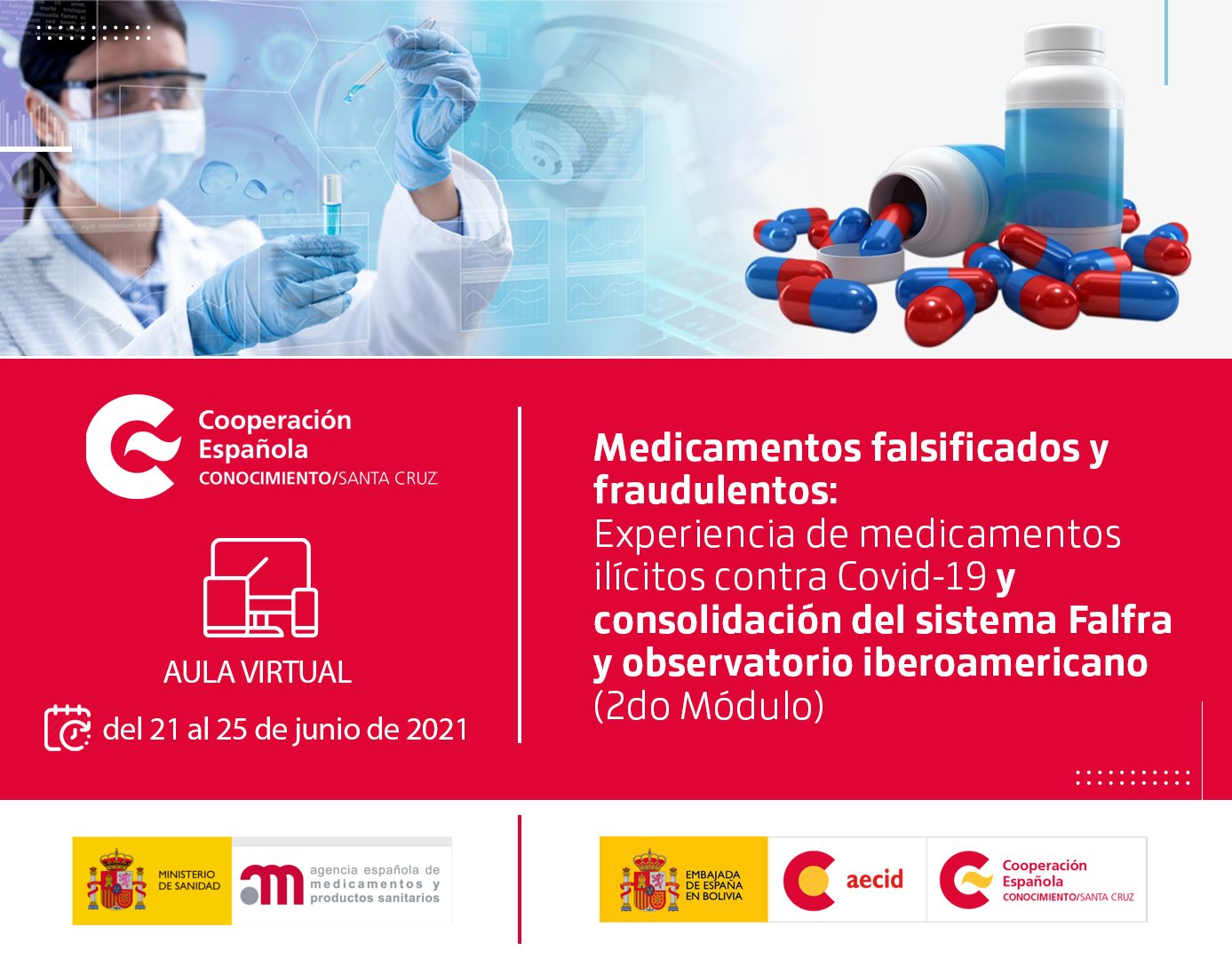 El encuentro se llevó a cabo del 14 al 25 de junio a través del Aula Virtual de la Cooperación Española. 