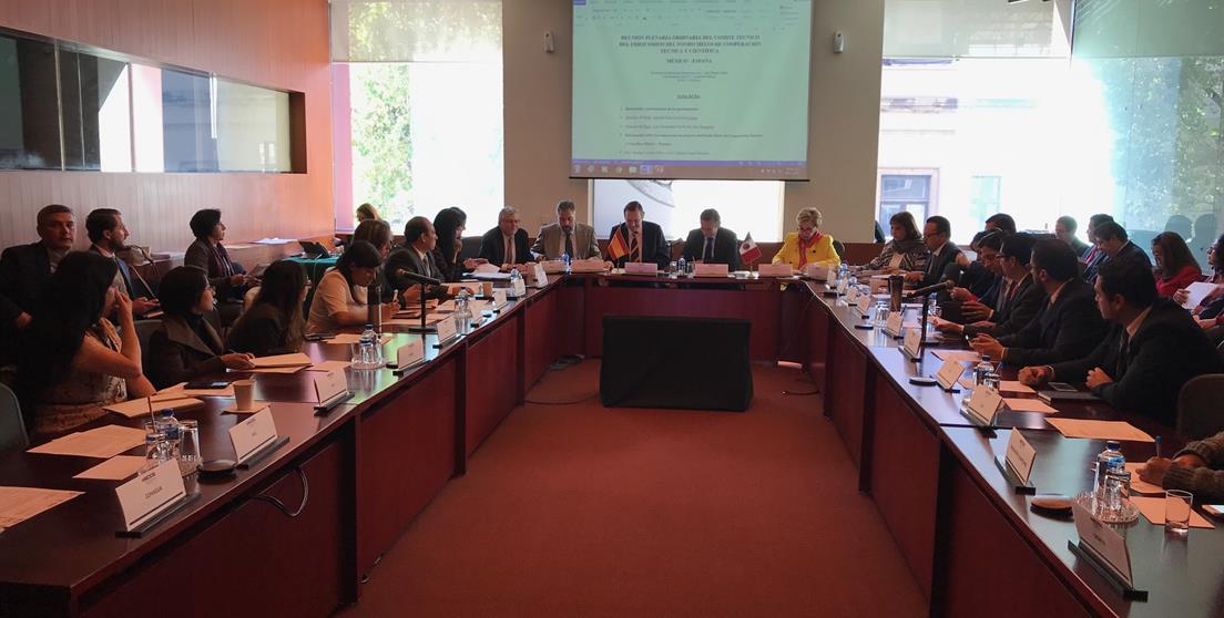 Reunión plenaria ordinaria España-México